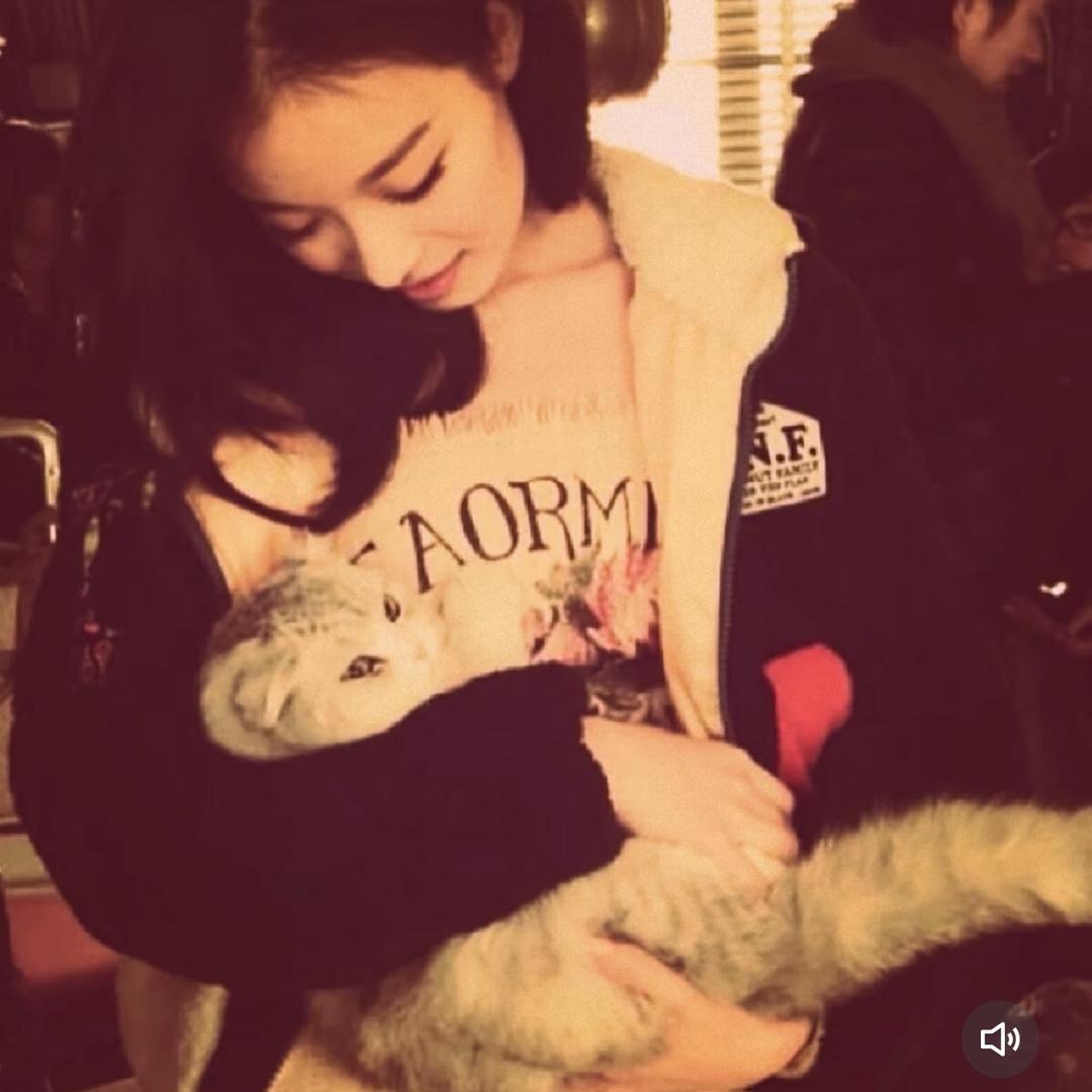 不会熬夜的点子