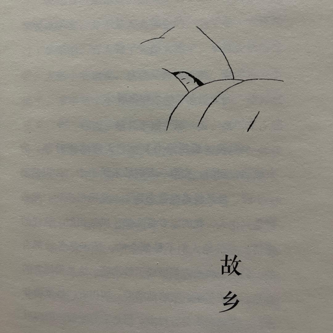 芫芫