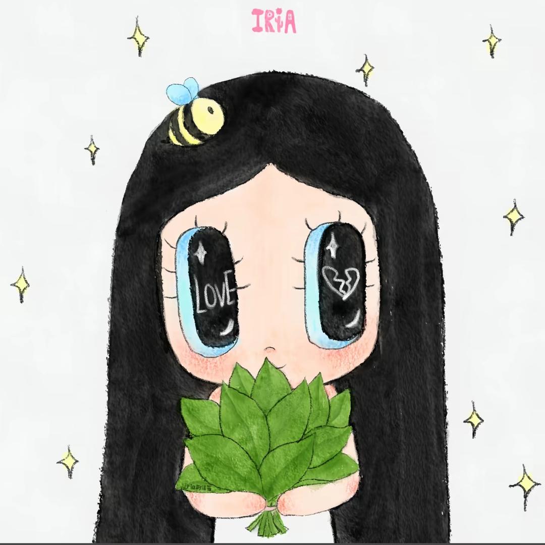爱探险的Dora