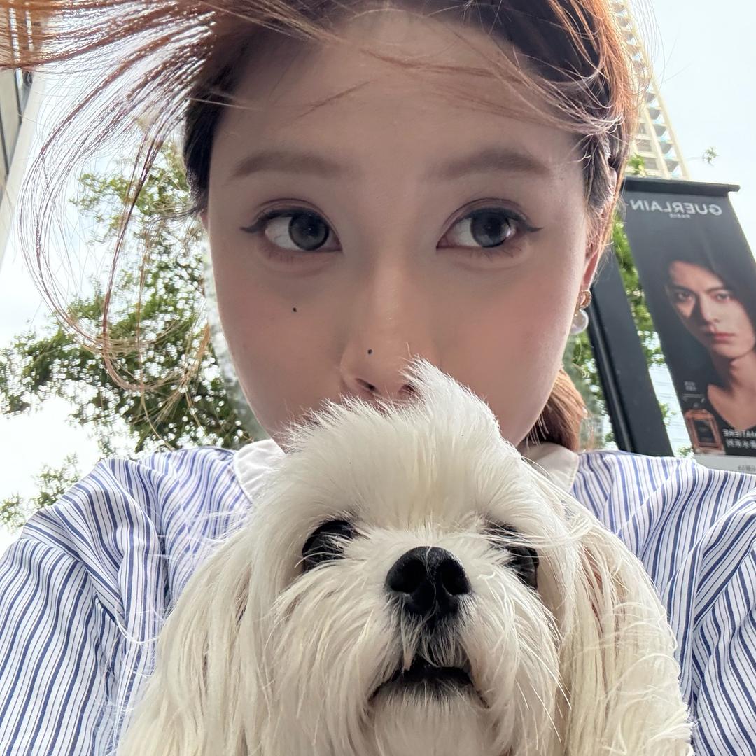 Sandy去哪儿