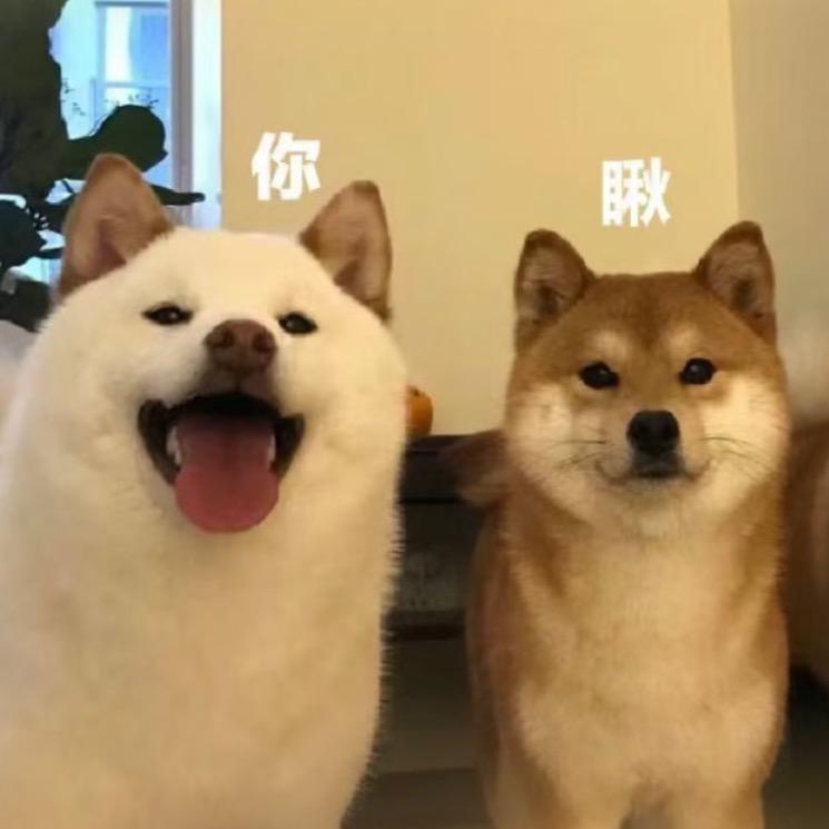 皮皮吖📷