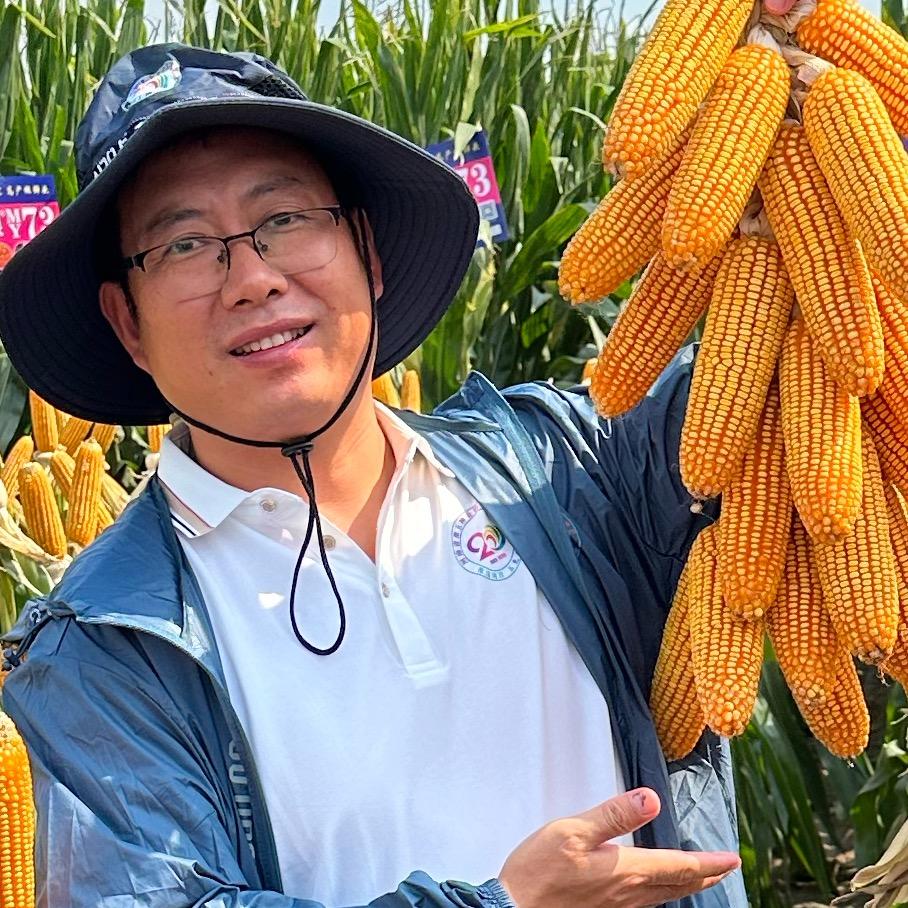 华东农资