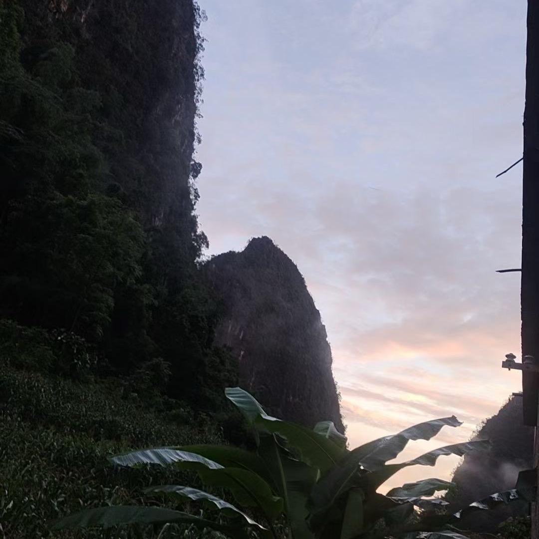屎坑在流浪