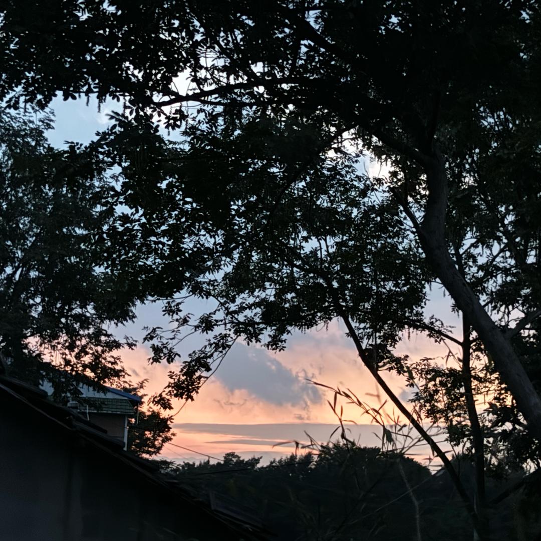 yanzi