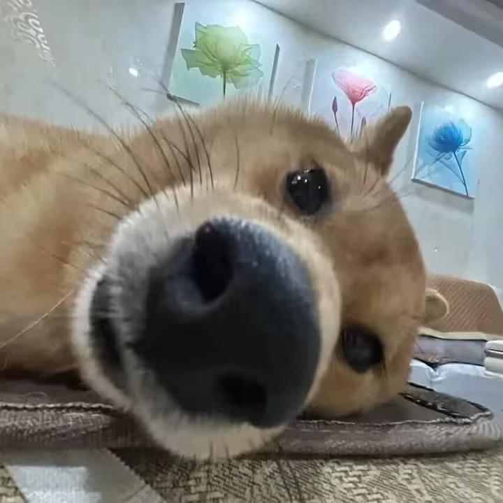 为什么这样子