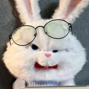 摄影📷📸傲娇