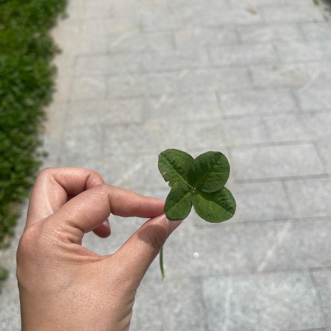 好又多二楼大麦女装
