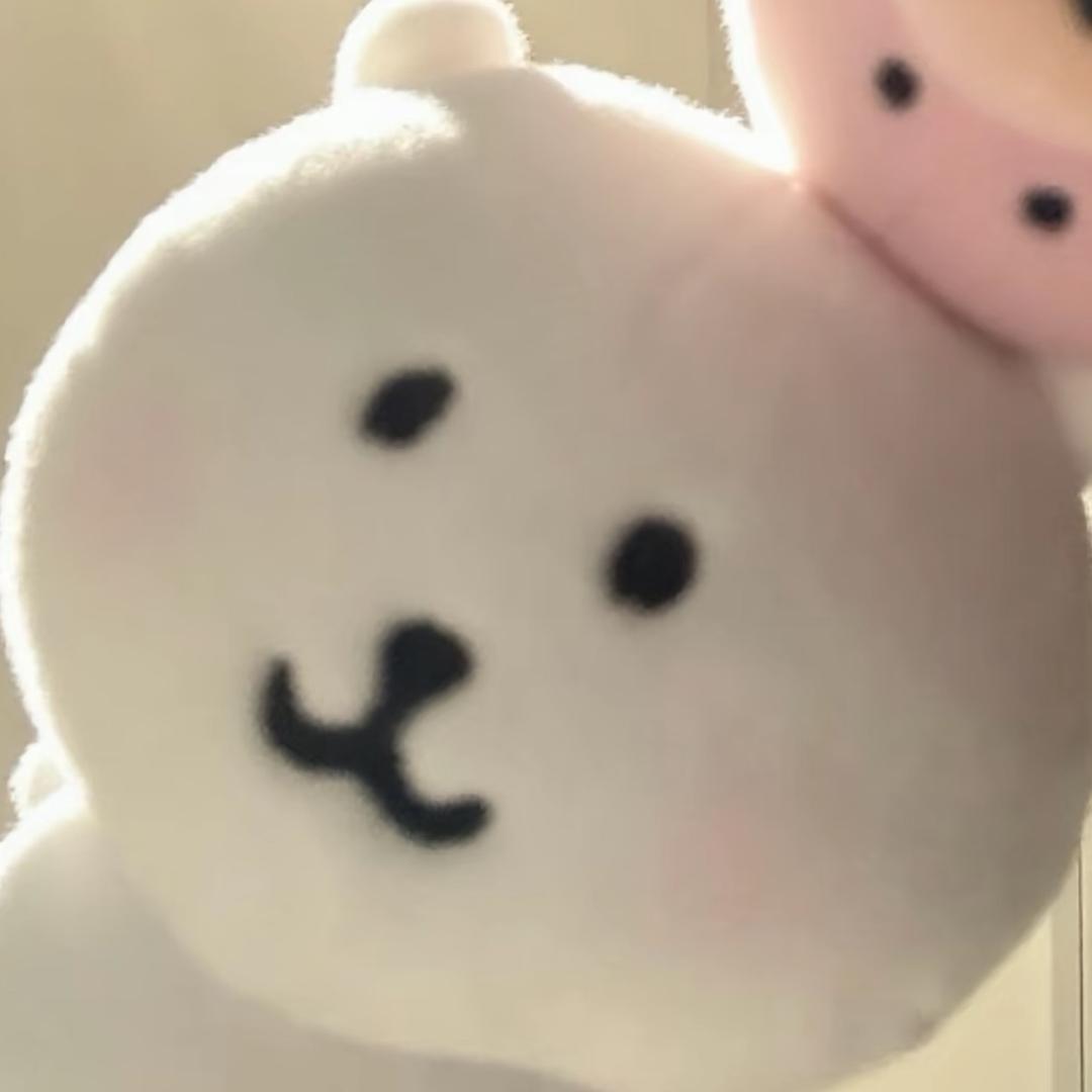 自由的小熊猫🐼