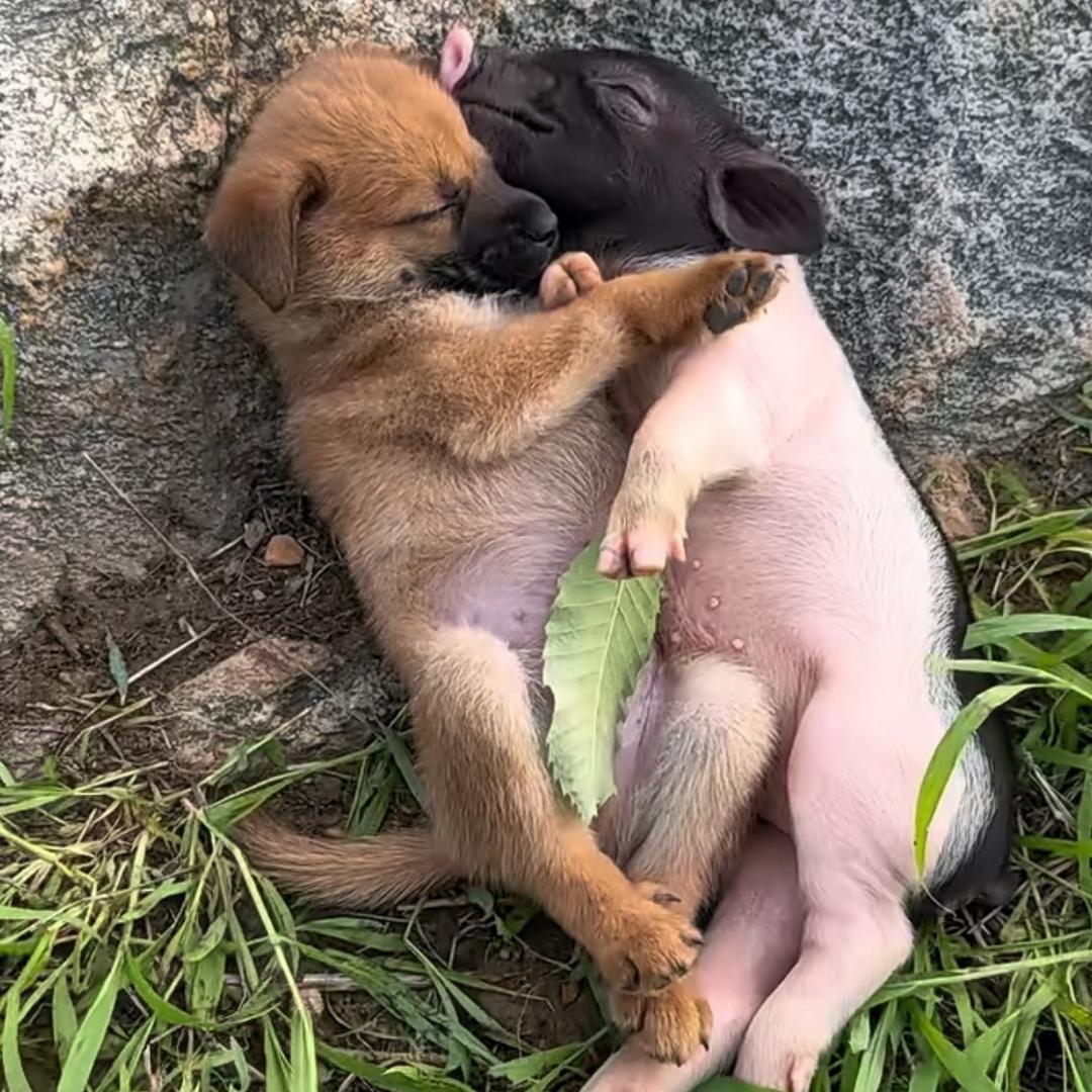 一切随缘 ⁹²¹💕