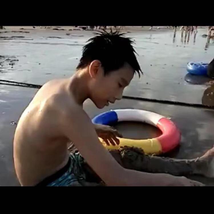 没有名字的猪猪