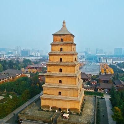 记录生活的小浩浩