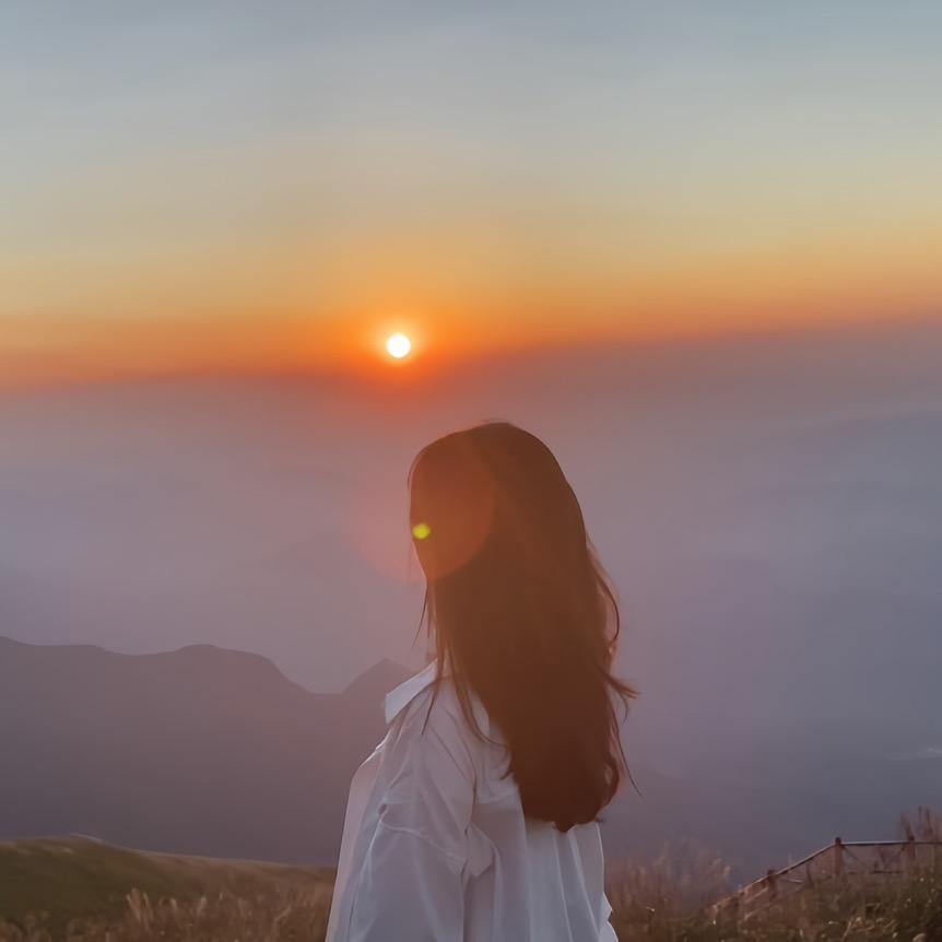 一只唐小鸭