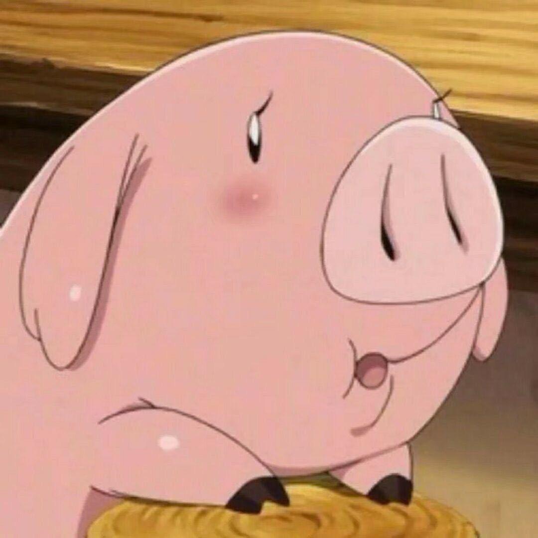 小🐷🐷