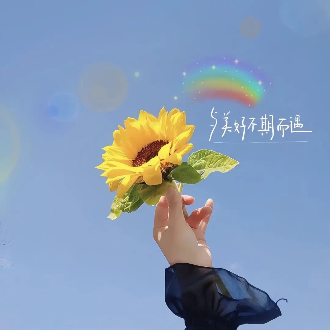 🍀蓝心