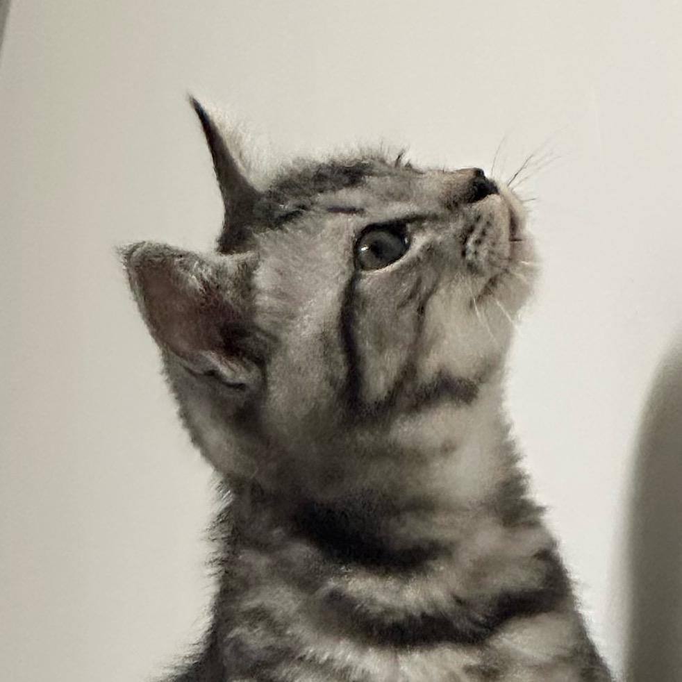 吴虎妈咪吴尼玛