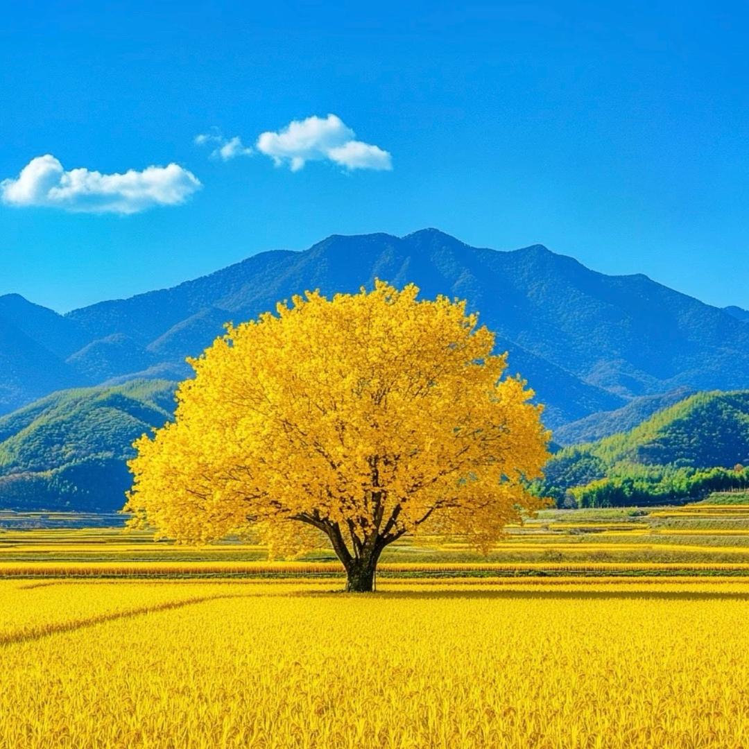 Het.