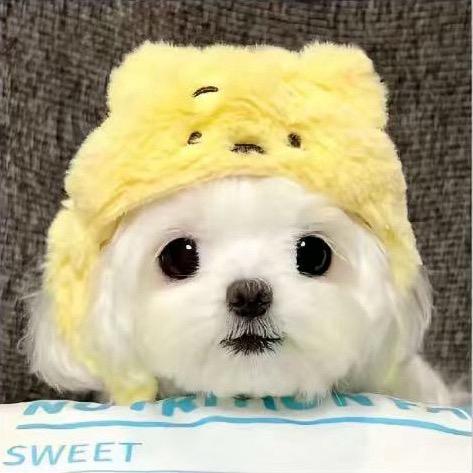 Hello动动_