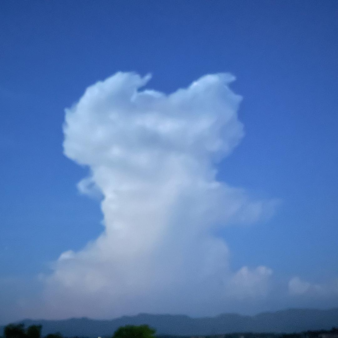半途而废