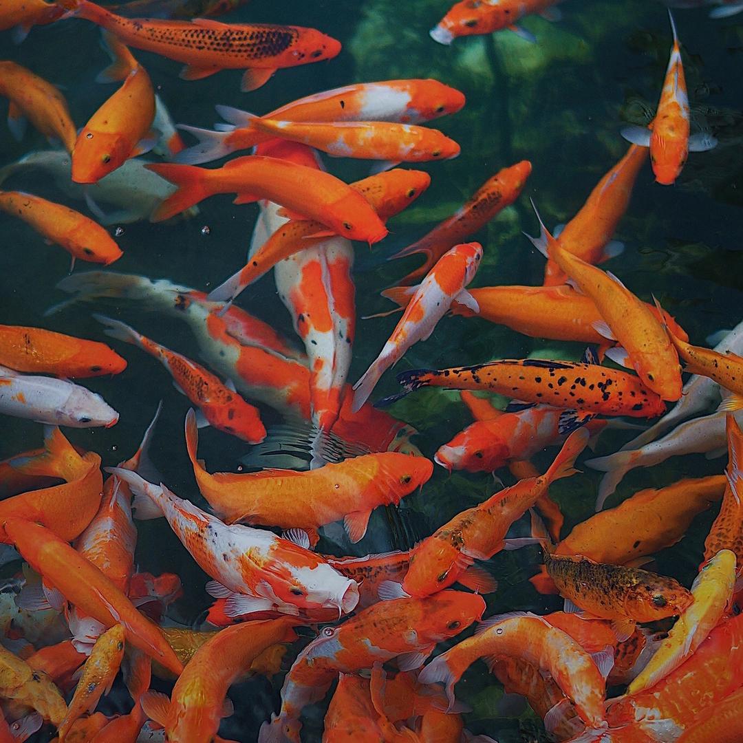 渔乐无穷渔具店