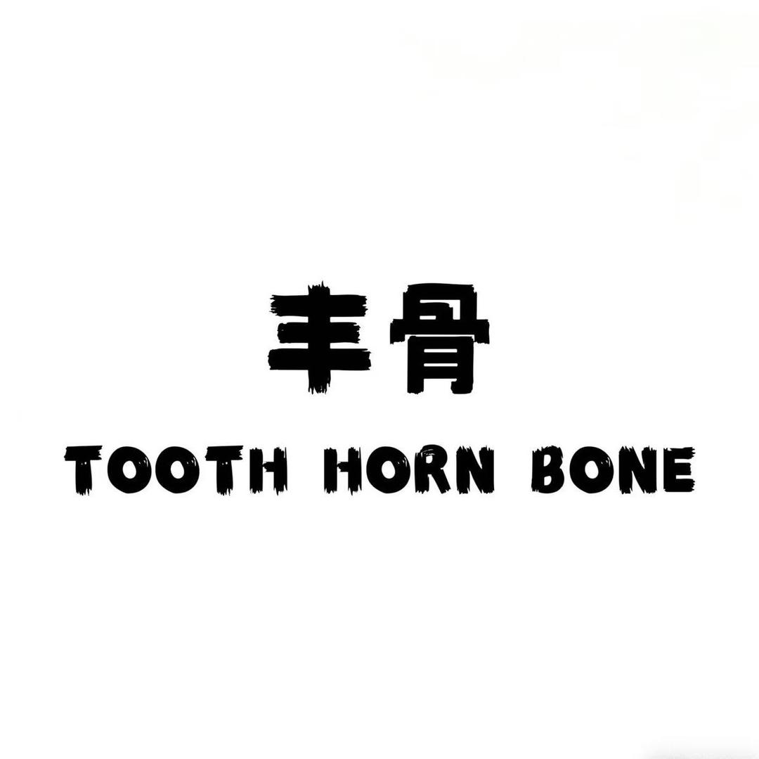 丰骨工作室·丰子