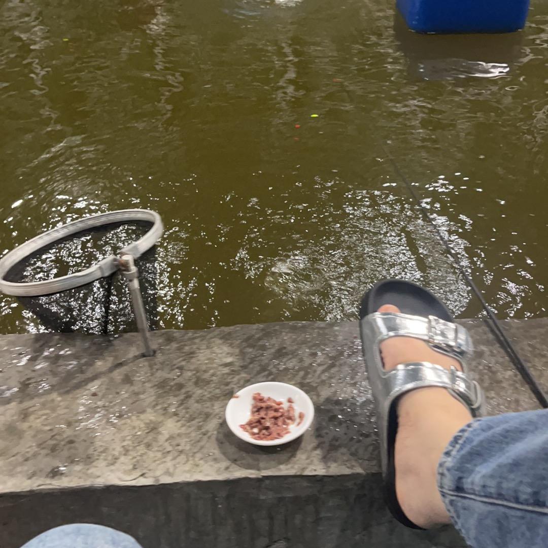 芯仪灯饰