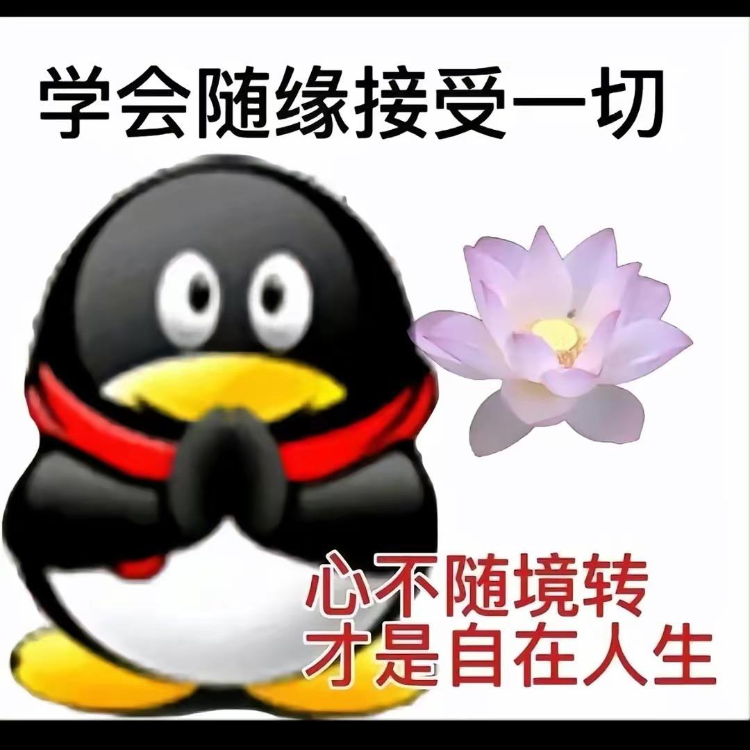 帅到没人要