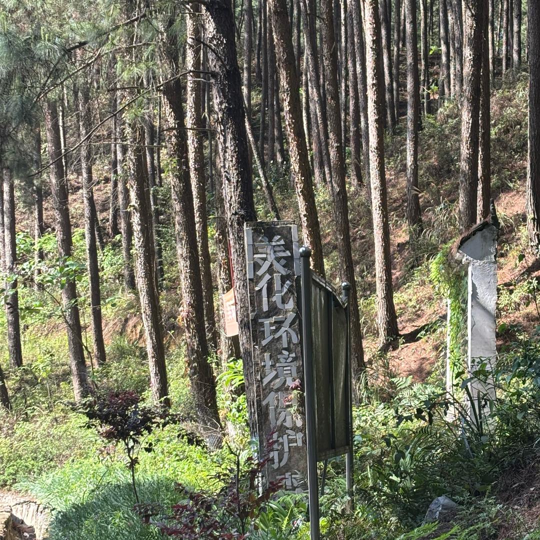 一切都是……