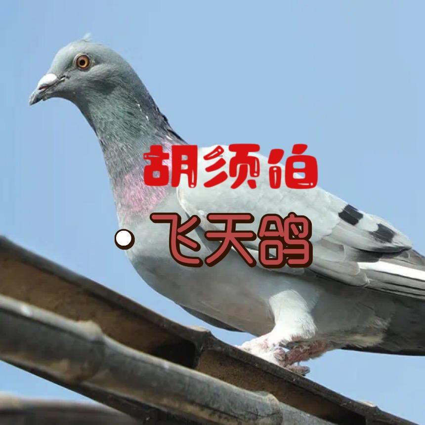 胡须伯肉菜店（阿玲妹）