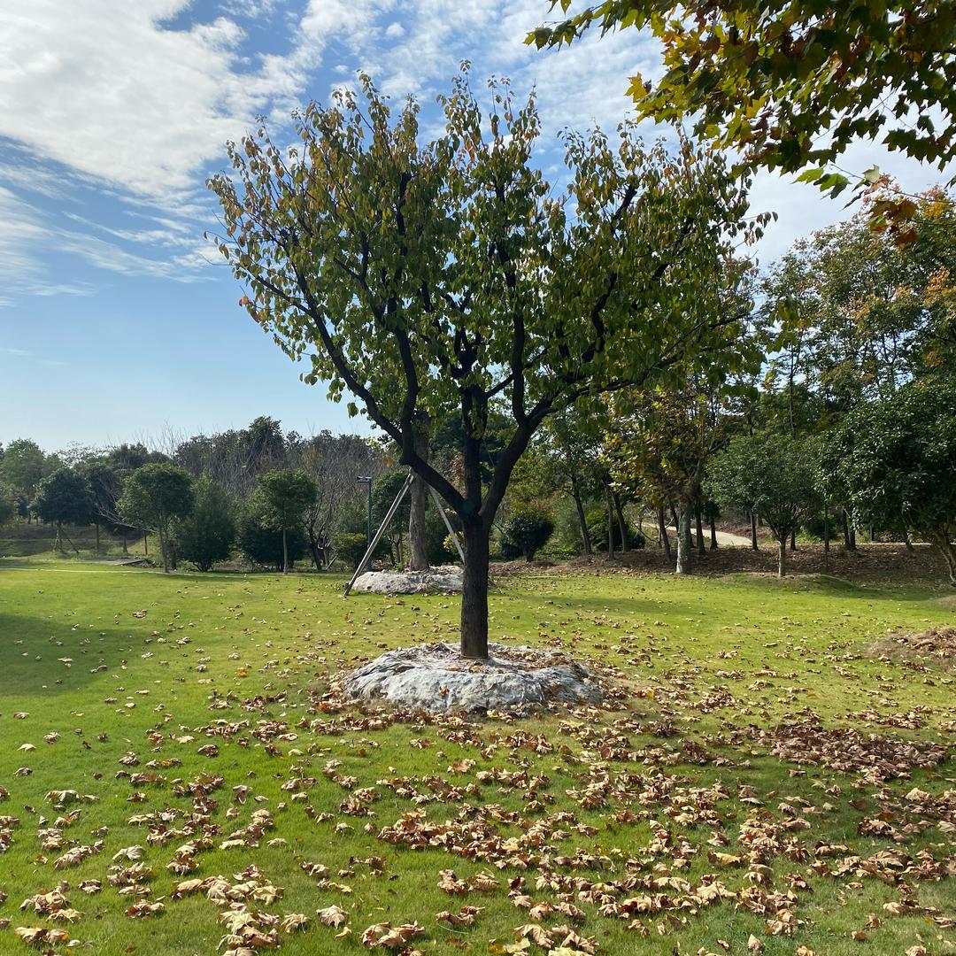 博尔发·静庆～吴静