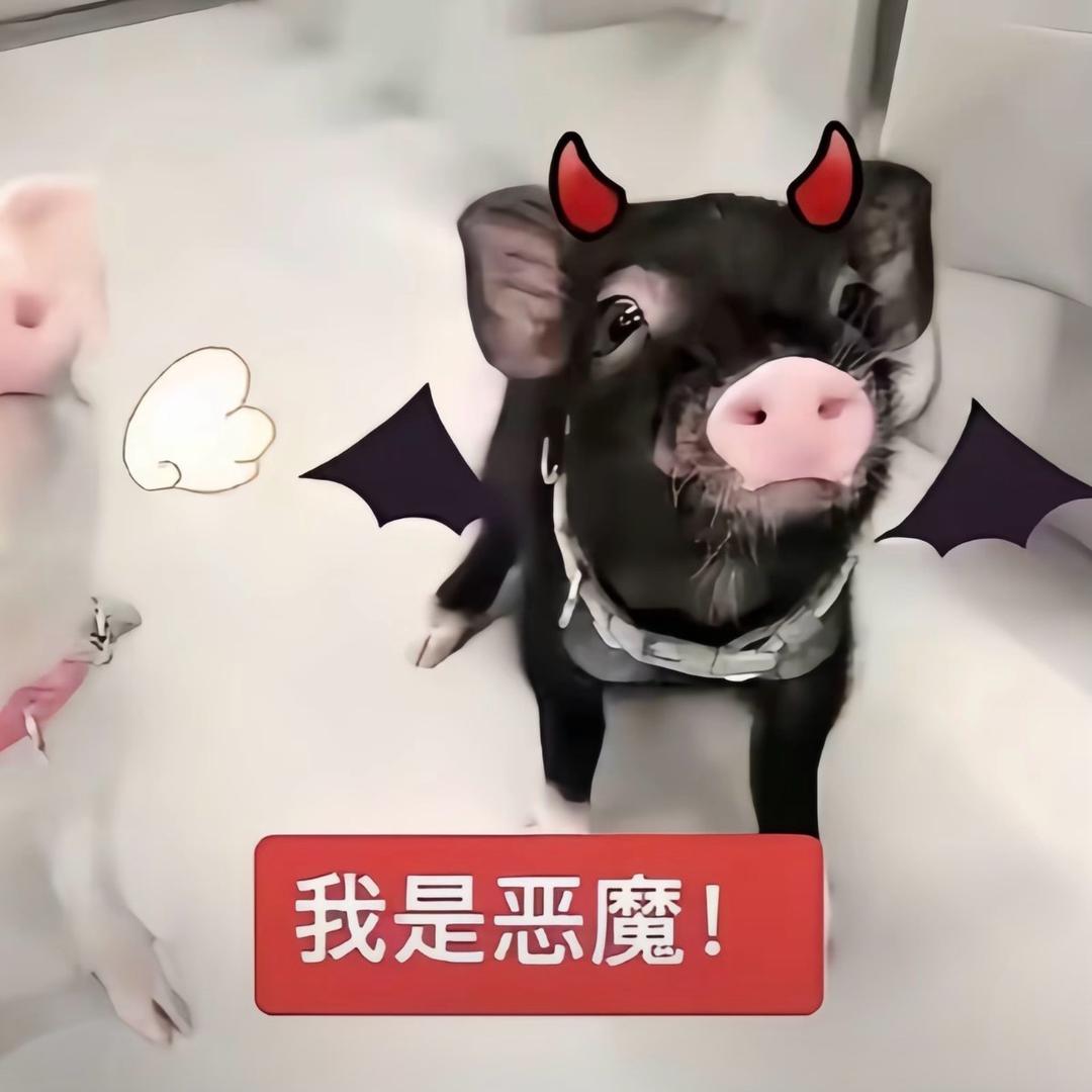 内向的变态