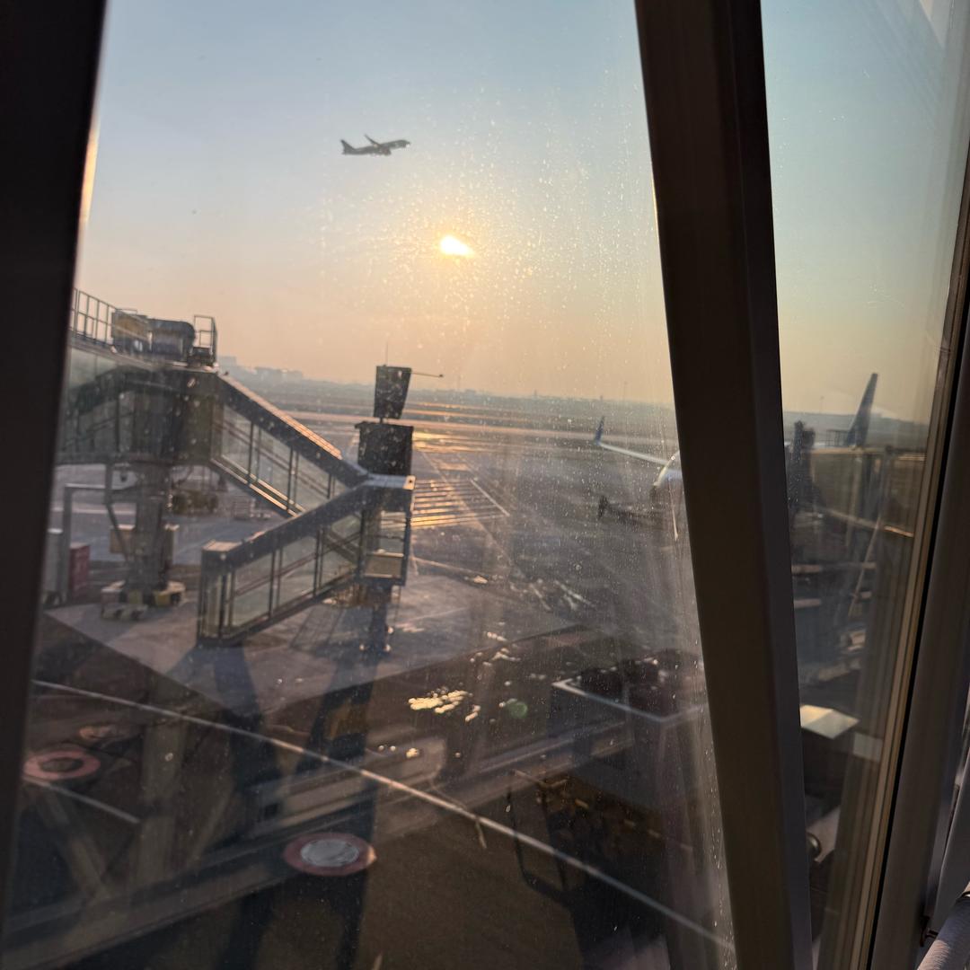 🐝勤劳的小蜜蜂🐝