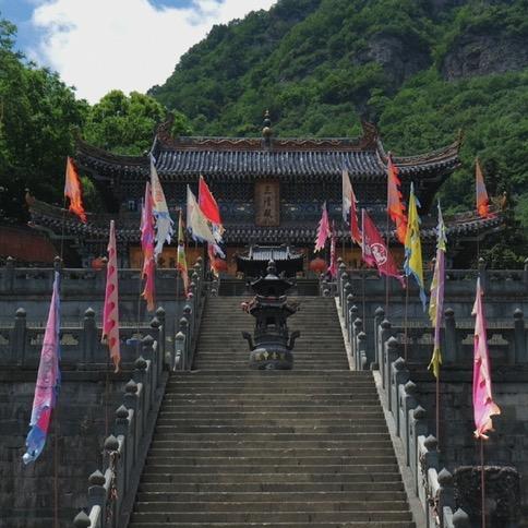 杨柳烟悟