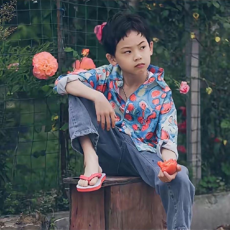 小柴胡