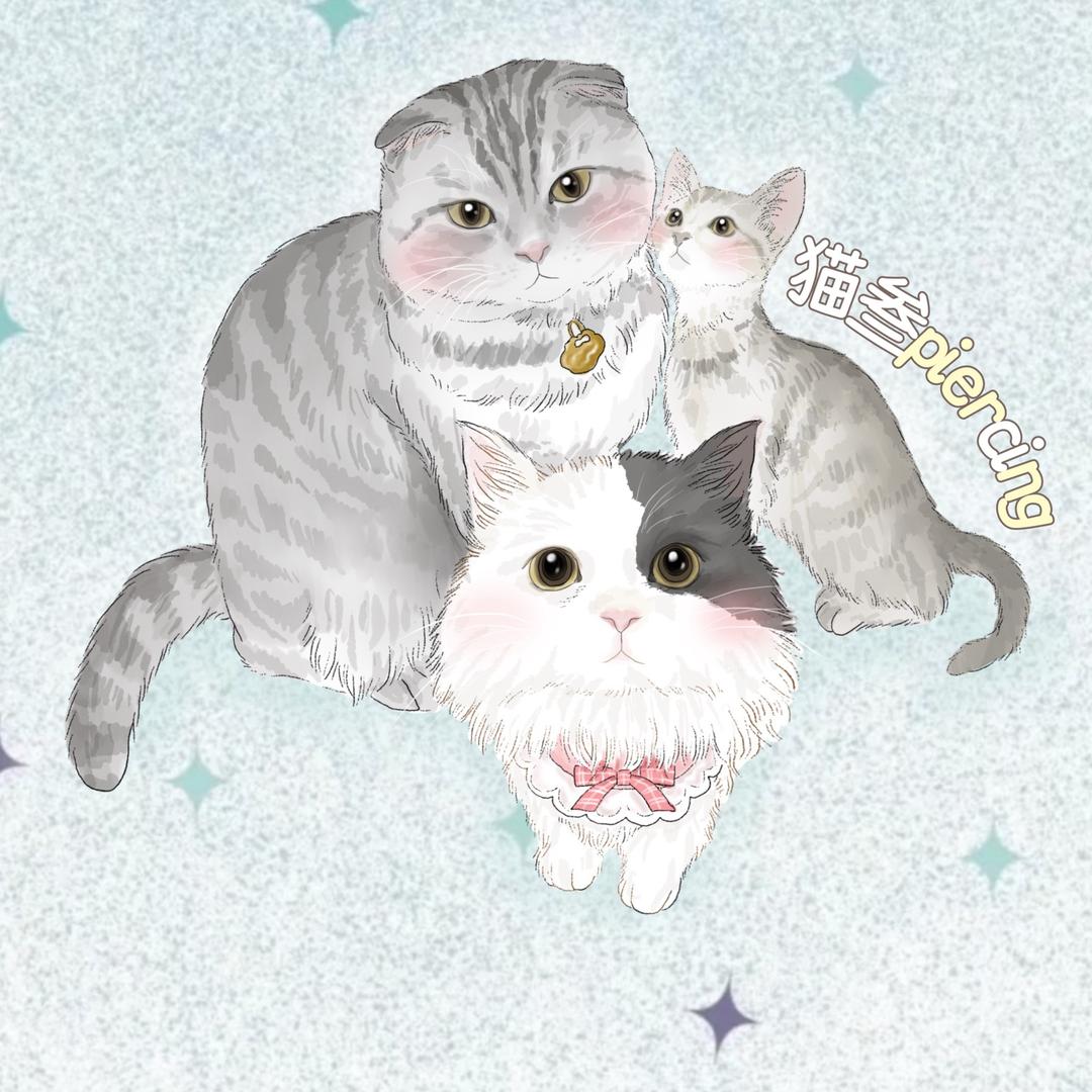 猫叁（穿孔版）