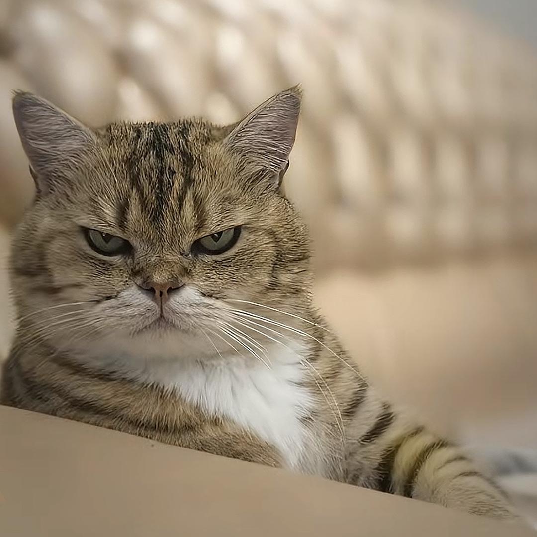 ：：：：