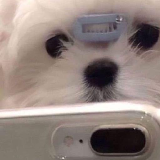老魚u