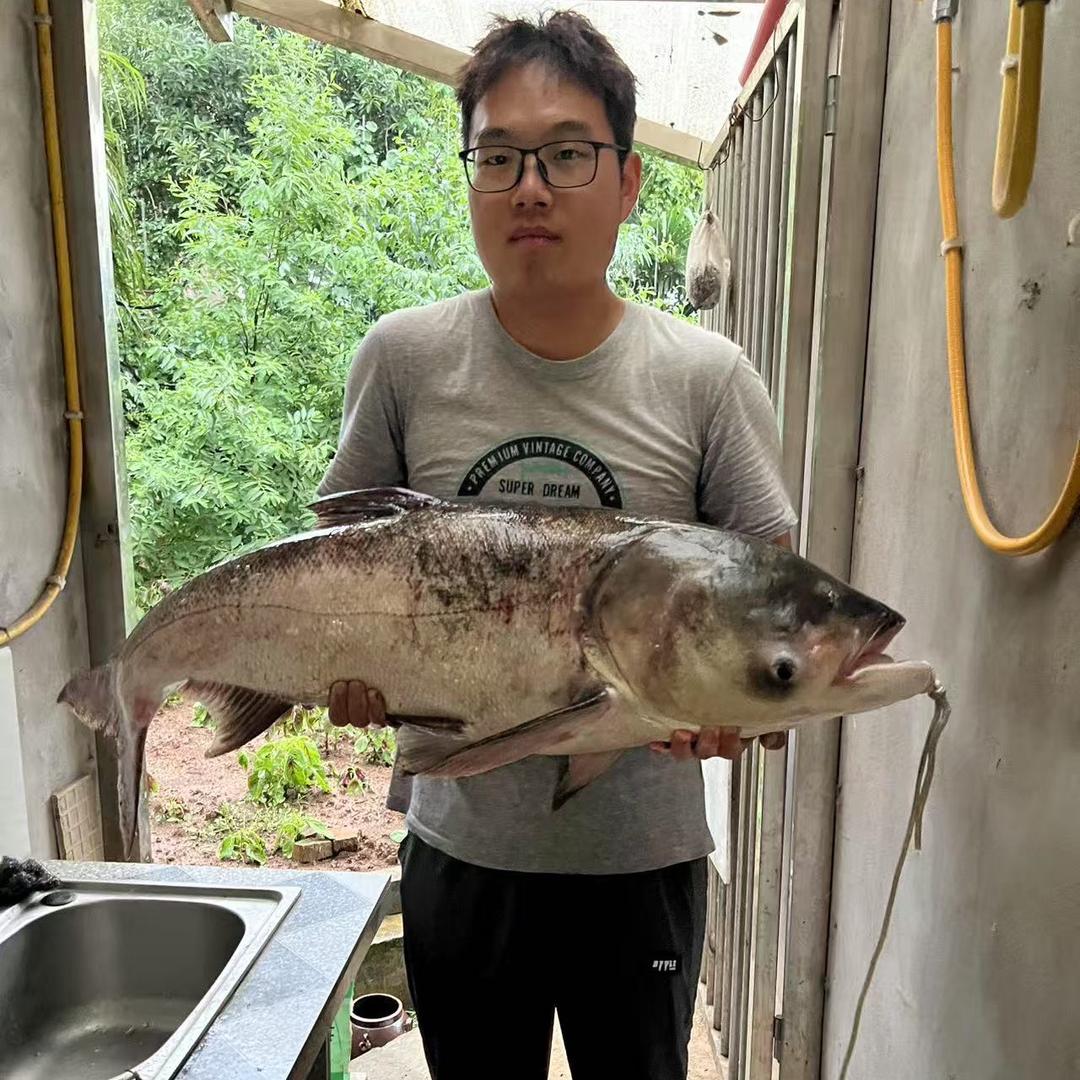 晓筱