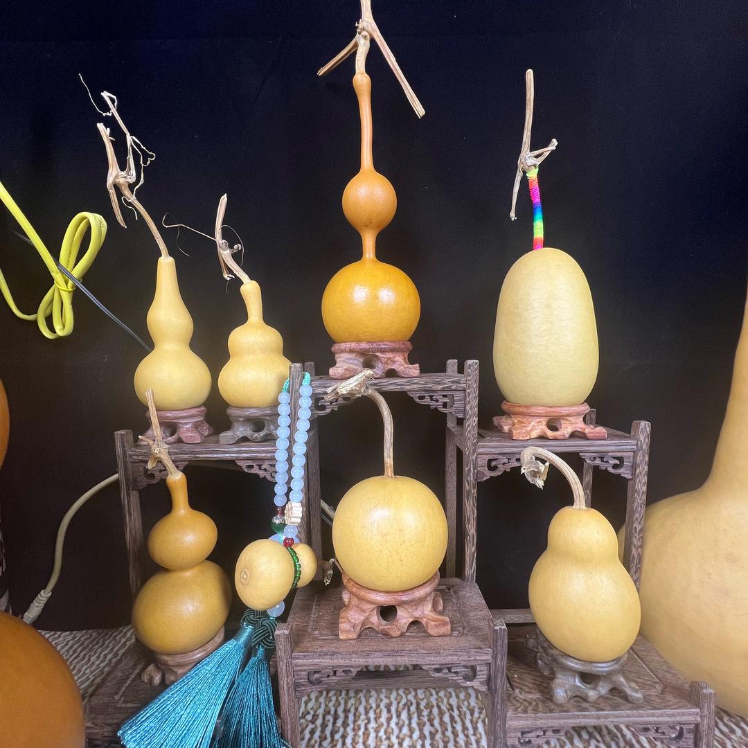 精品葫芦、种苗、园艺