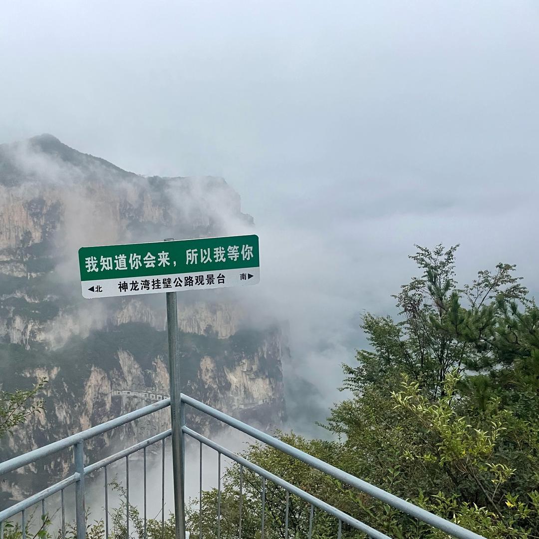 原府▪︎小白