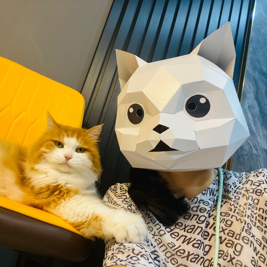 MRTREE树先生严选