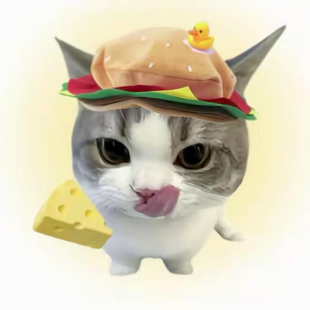 蓝莓🫐