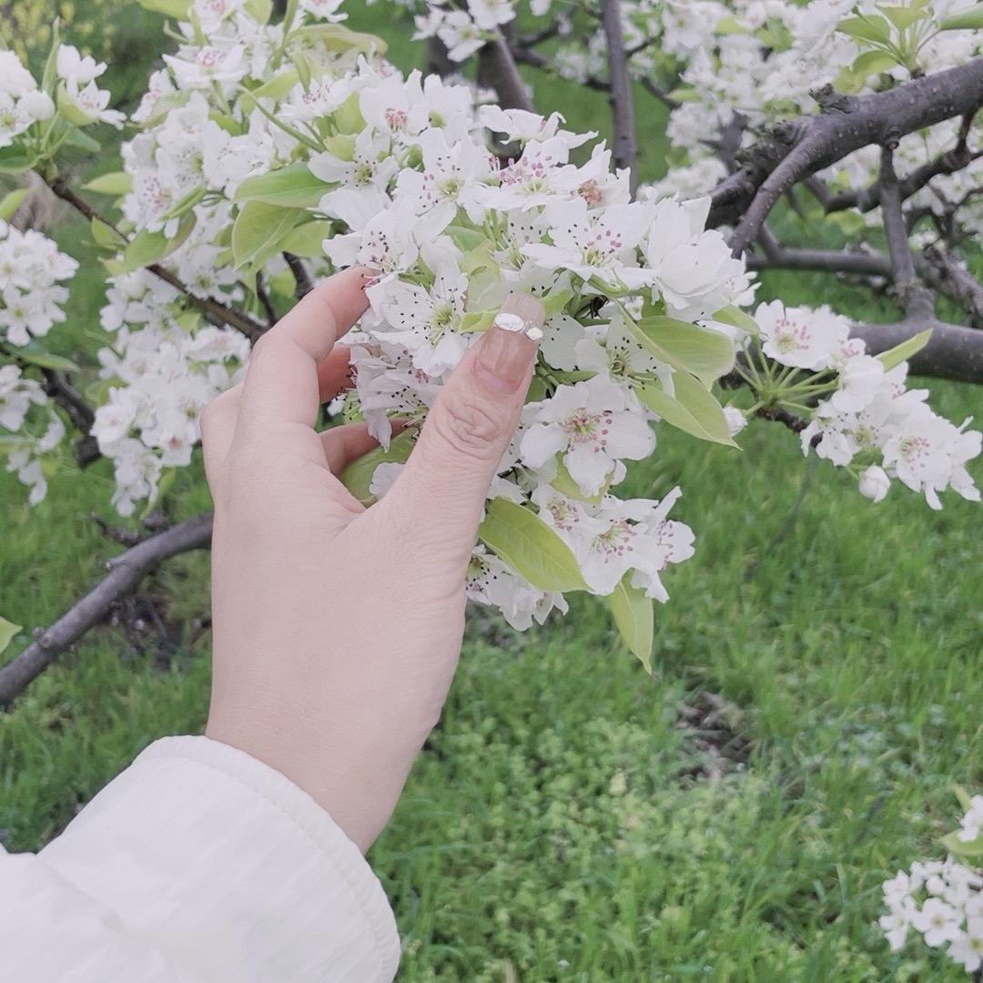 ～归于平静～