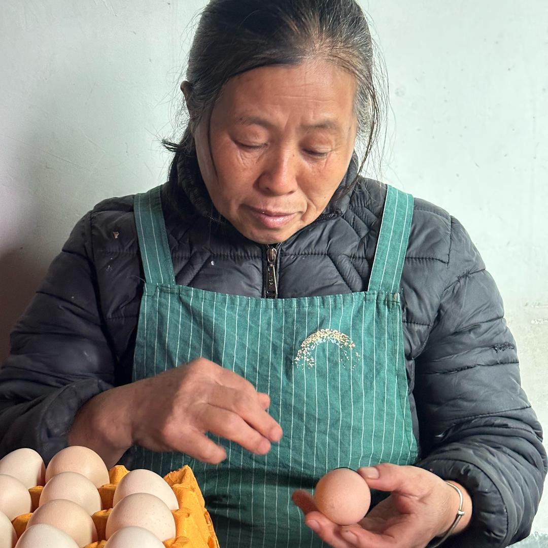 冷二妹《烧蛋》