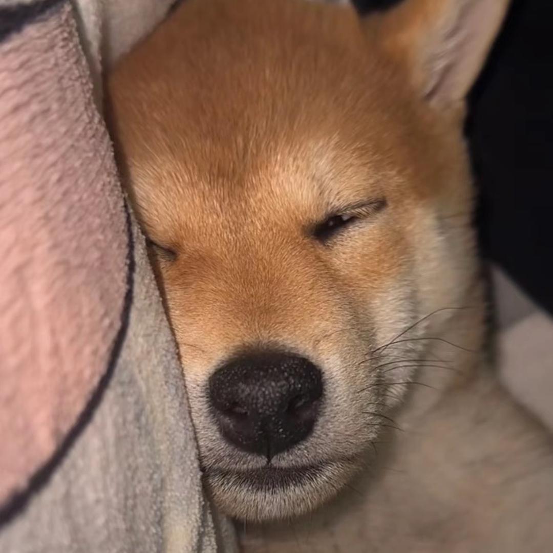 代代（清货省钱版）