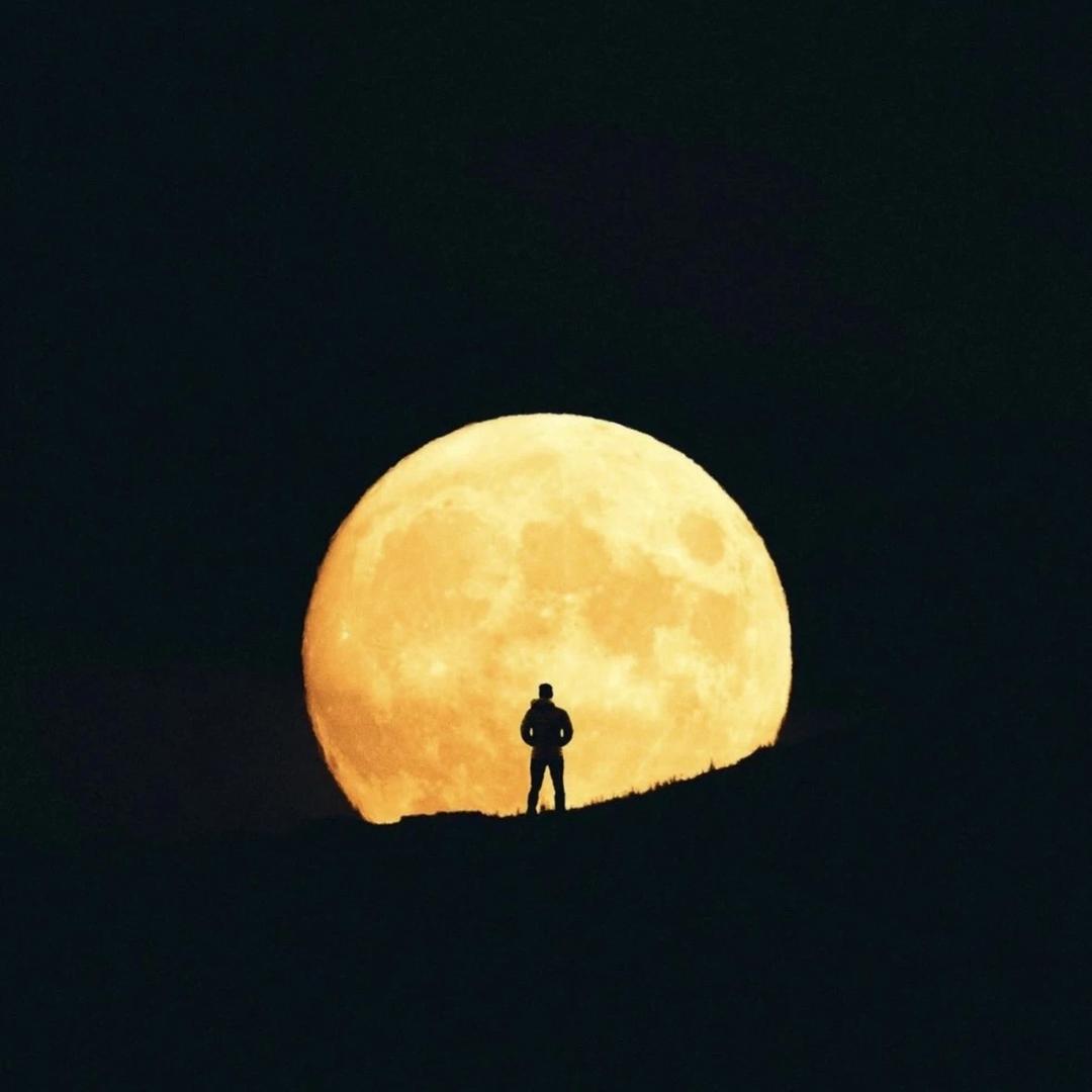 俊