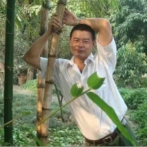 西北玫瑰🌹