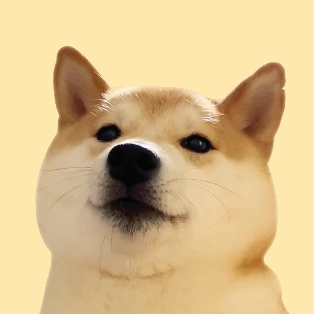 蛋蛋蛋蛋仔