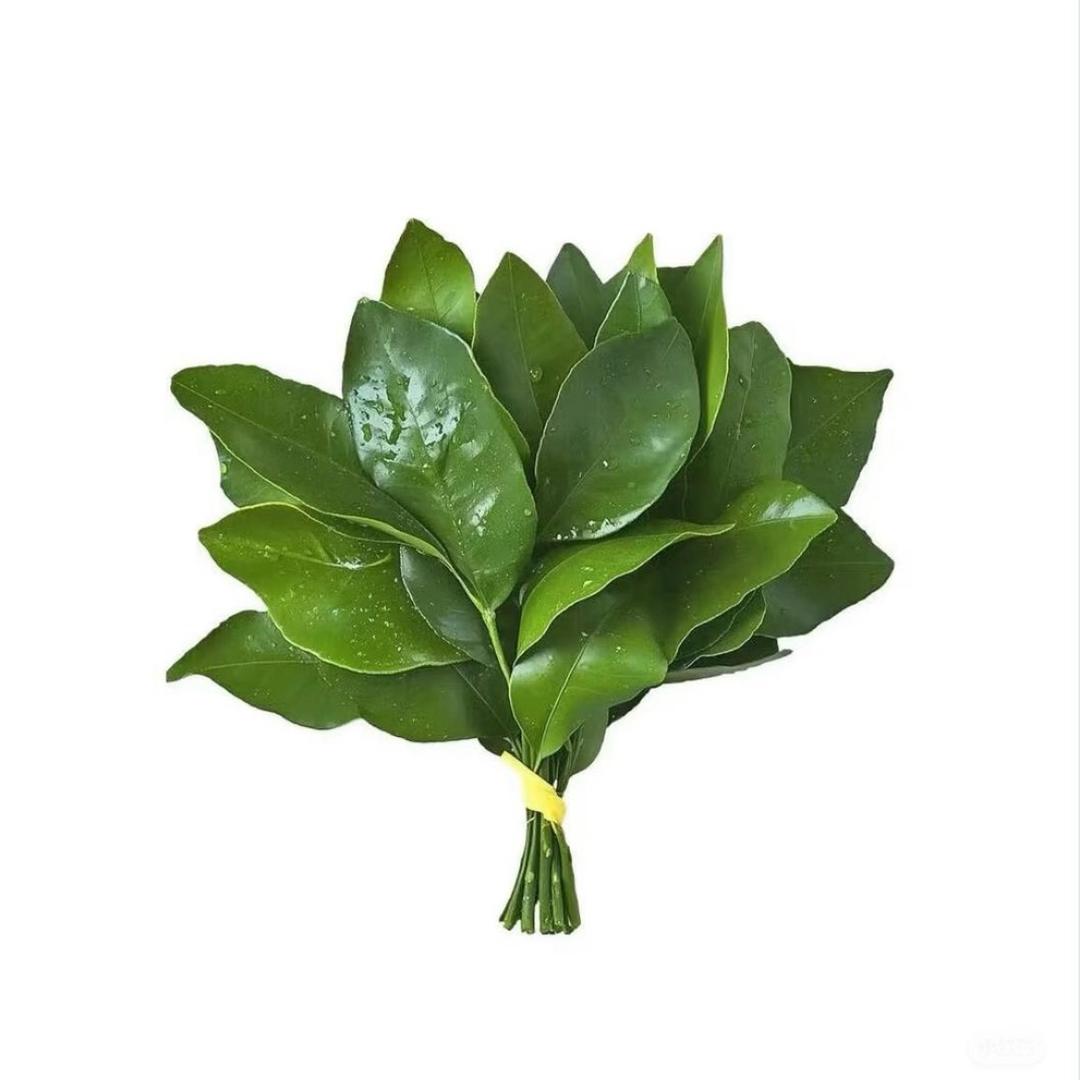 一颗小山竹（孕期）