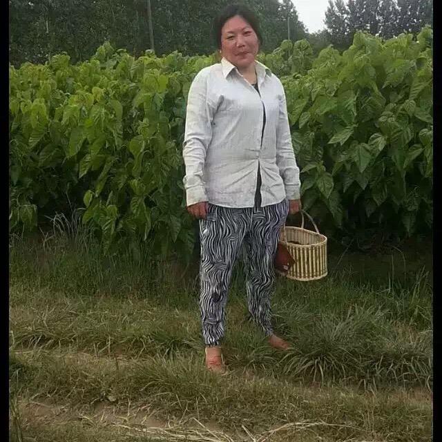诺妍农场
