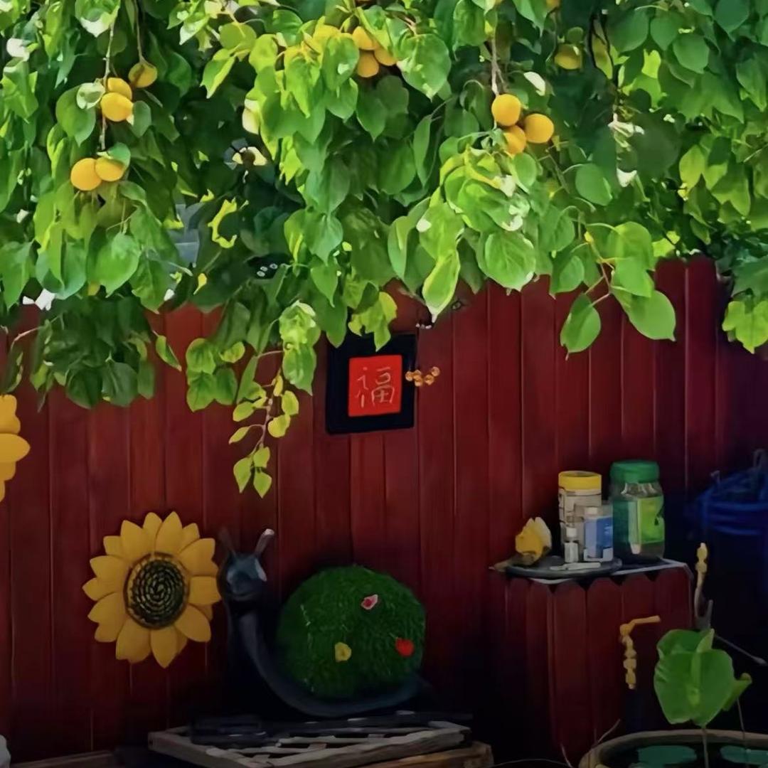 橙子家居🍊